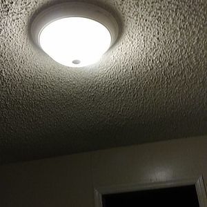 Meet your Posher, Paul